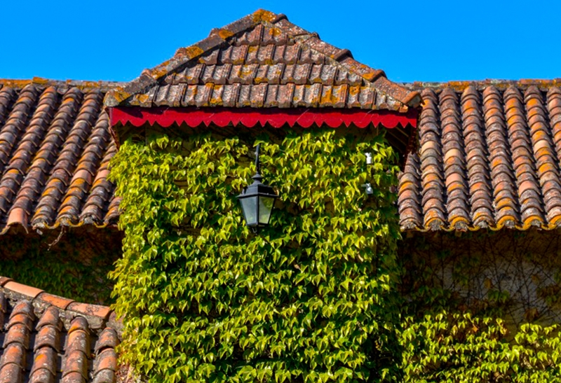 Séjour hébergement gîte de France au domaine Saint-Georges d'Ibry. Crdits : ©saintgeorgesdibry.com 2014